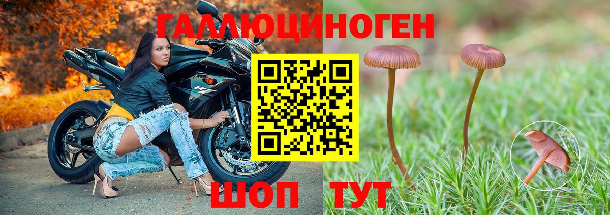 Реутов  Галлюциногенные грибы ЛСД  Вход с VPN 